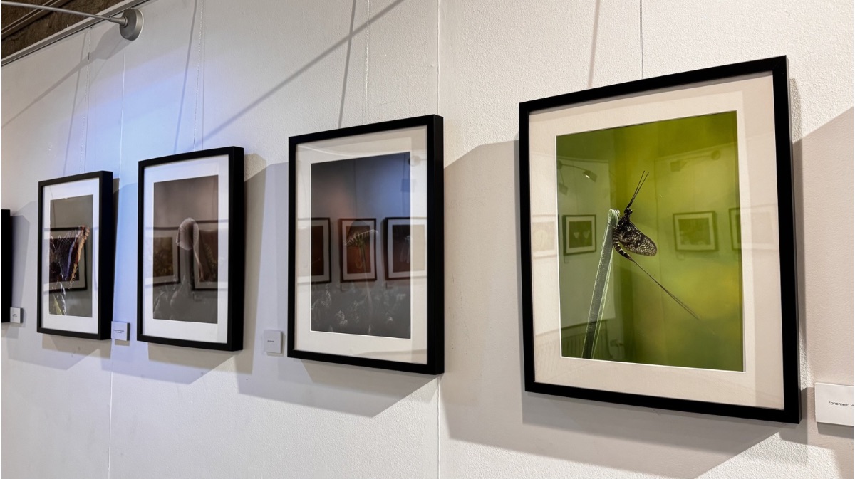 Exposici&oacute;n &lsquo;Macrofotograf&iacute;a&rsquo;