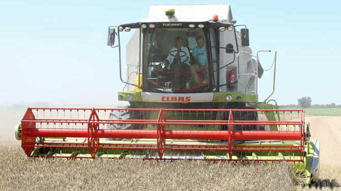 Imagen de archivo de la cosecha de cereal.