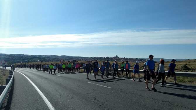 Gran Marcha de la Discapacidad de Pronisa.