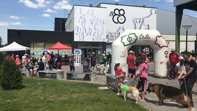 Marcha Solidaria 'Sumando patas'.