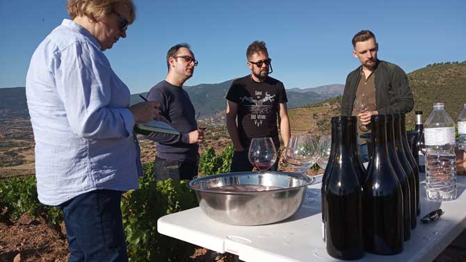 Expertos visitan la DOP Cebreros.