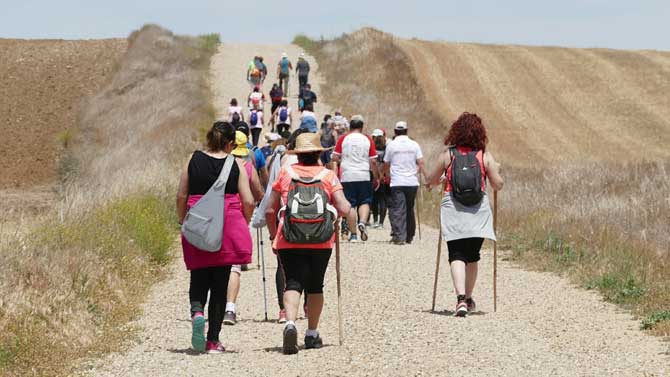 Ruta Teresiana entre Narros del Castillo y Pe&ntilde;aranda de Bracamonte.