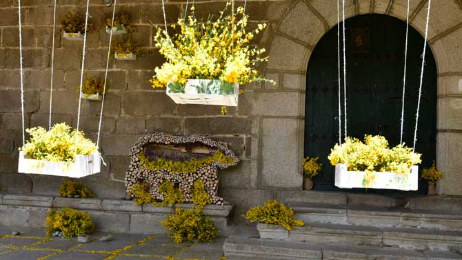 ‘Tras las huellas del oso’, de Navacepeda de Tormes, premio de la decoración con piornos en lugares públicos.