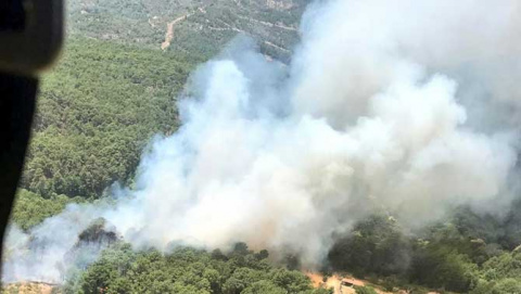 Incendio forestal en Gavilanes. Foto: @AT_Brif.