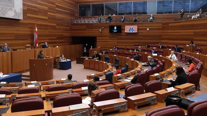 Cortes de Castilla y Le&oacute;n.