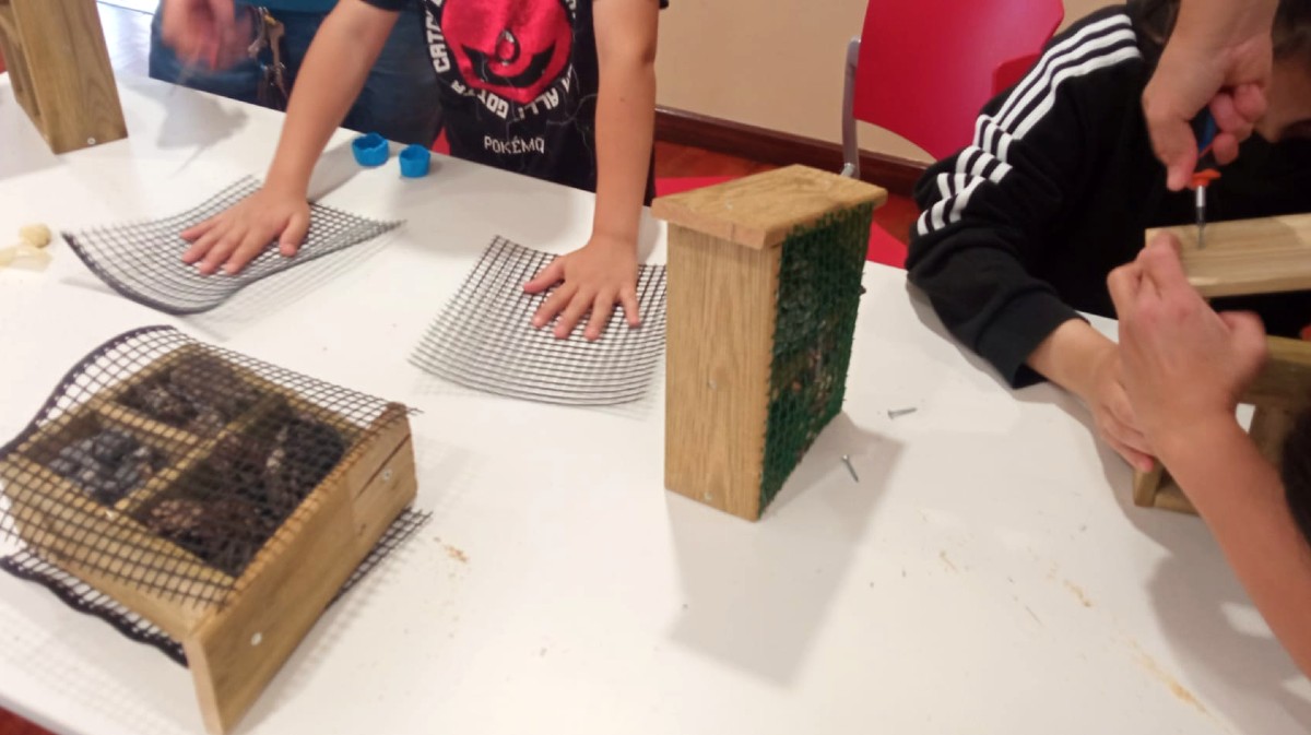 Taller de creación de hoteles para abejas en el Día Mundial del Medio Ambiente.