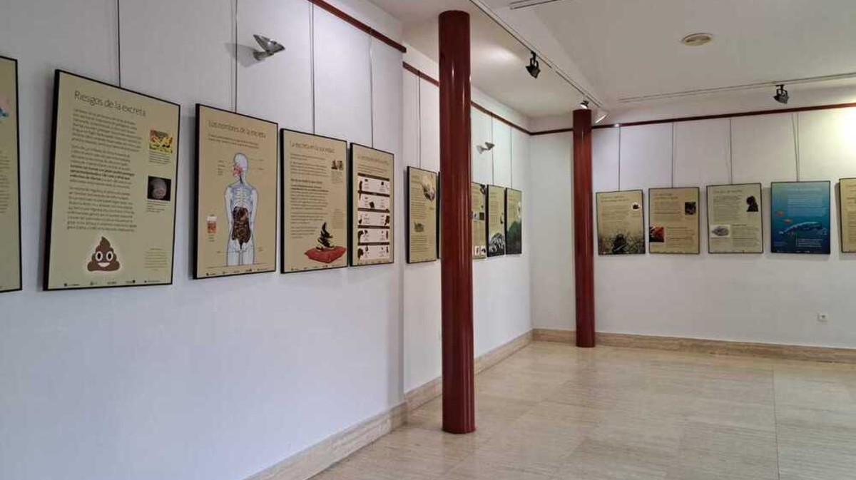 Exposición en Arévalo de la red Ciudad Ciencia.