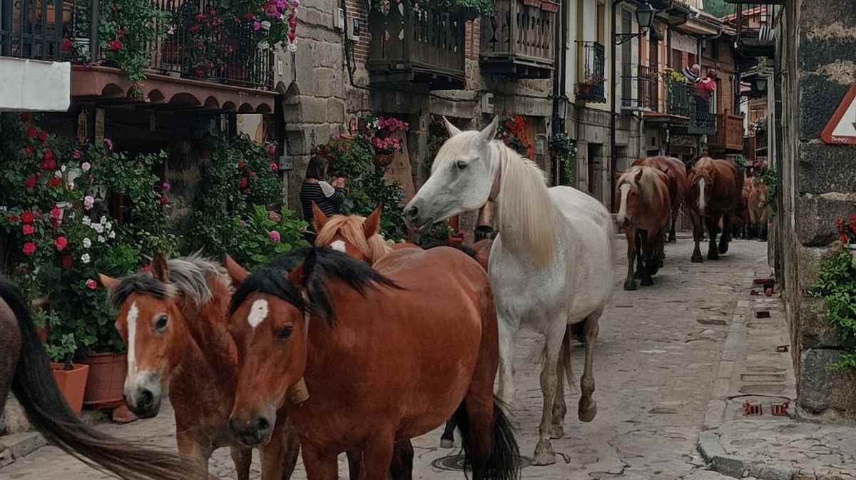 Imagen: Ayuntamiento de Cuevas del Valle
