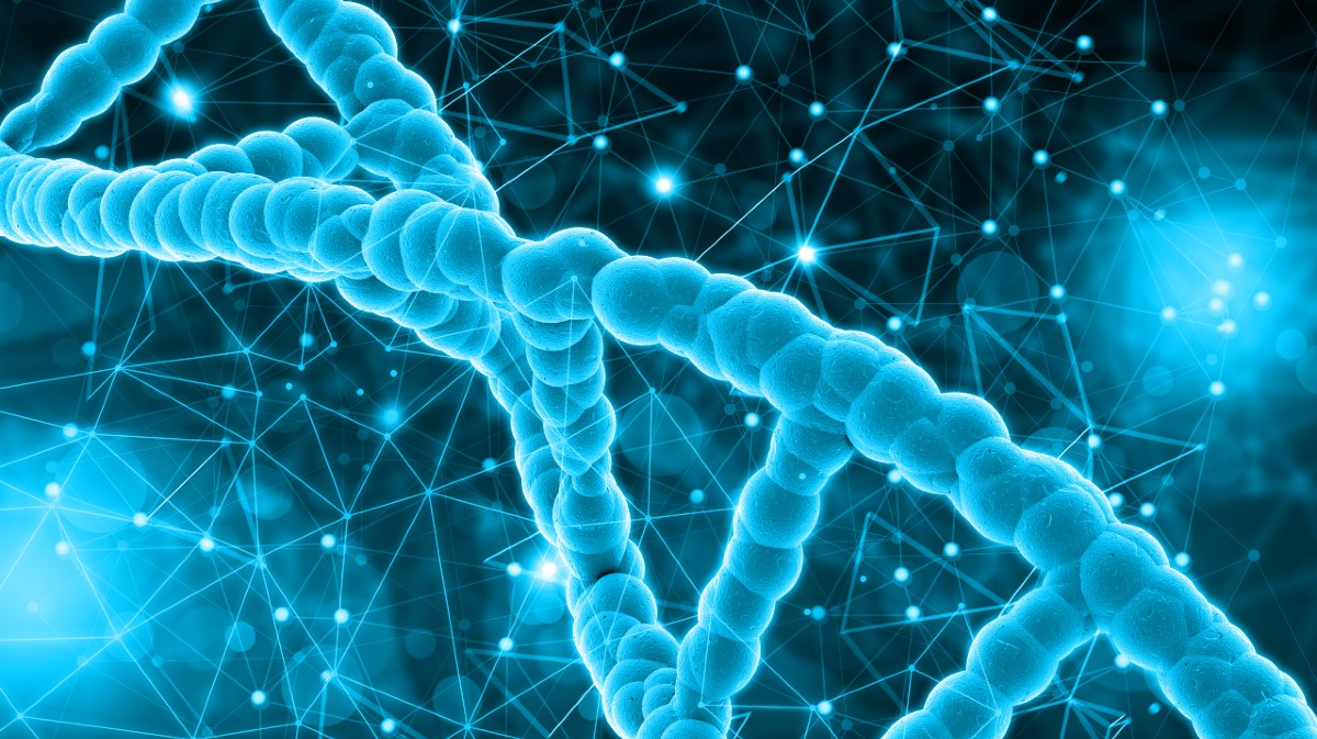 Representaci&oacute;n del ADN.