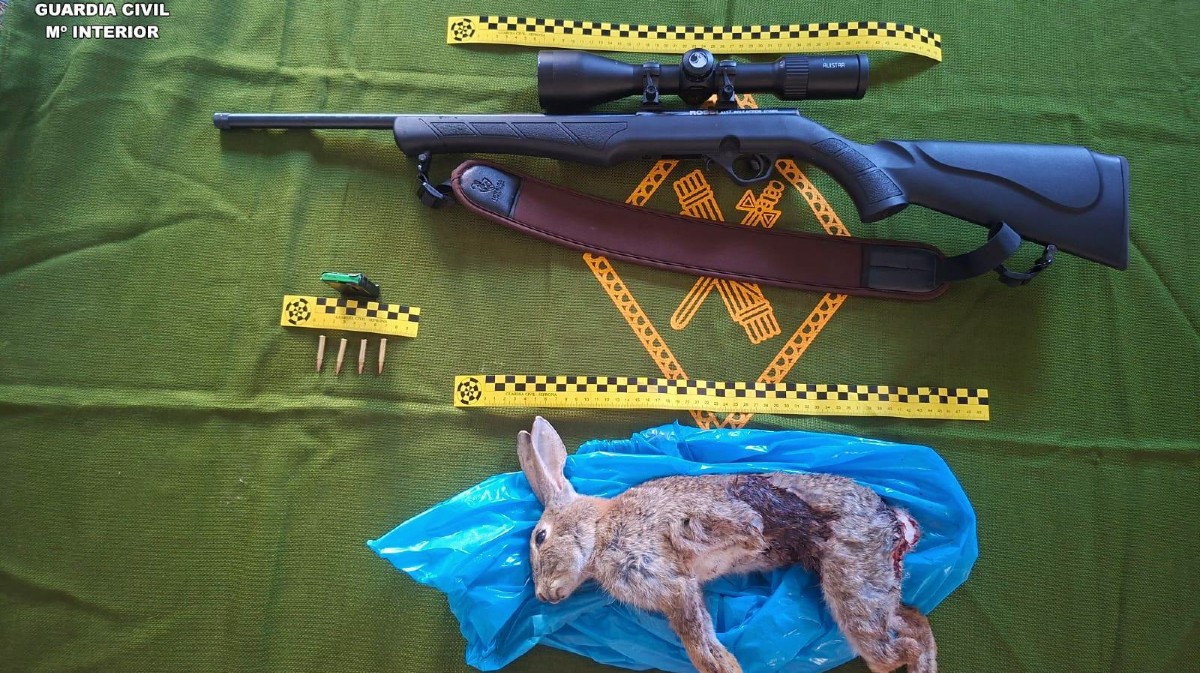 Rifle, mira telesc&oacute;pica y un conejo incautados al furtiivo de Sotillo de la Adrada.