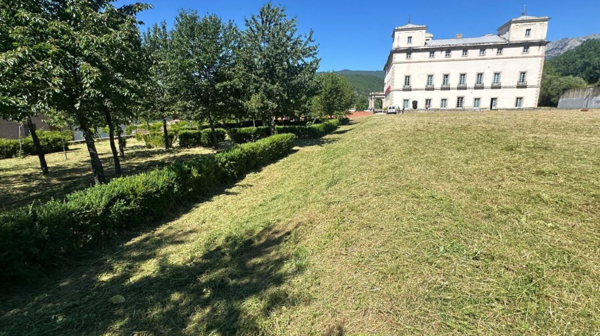 Palacio de Arebas tras el desbroce de la zona.