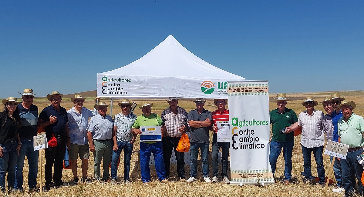 Agricultores de La Mora&ntilde;a en le campo de ensayo de cereales de Flores de &Aacute;vila.