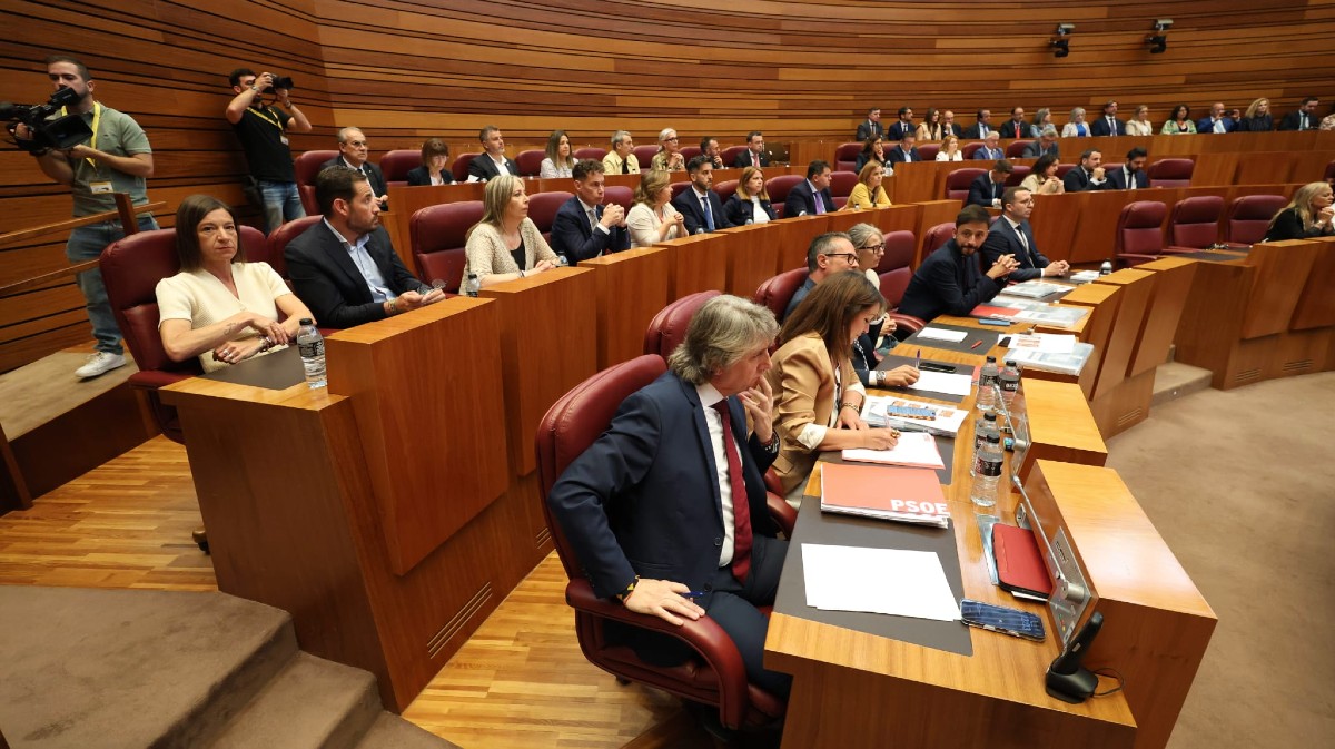 Iglesias y Zazo asumen dos de las portavocías del PSOE en las Cortes de Castilla y León