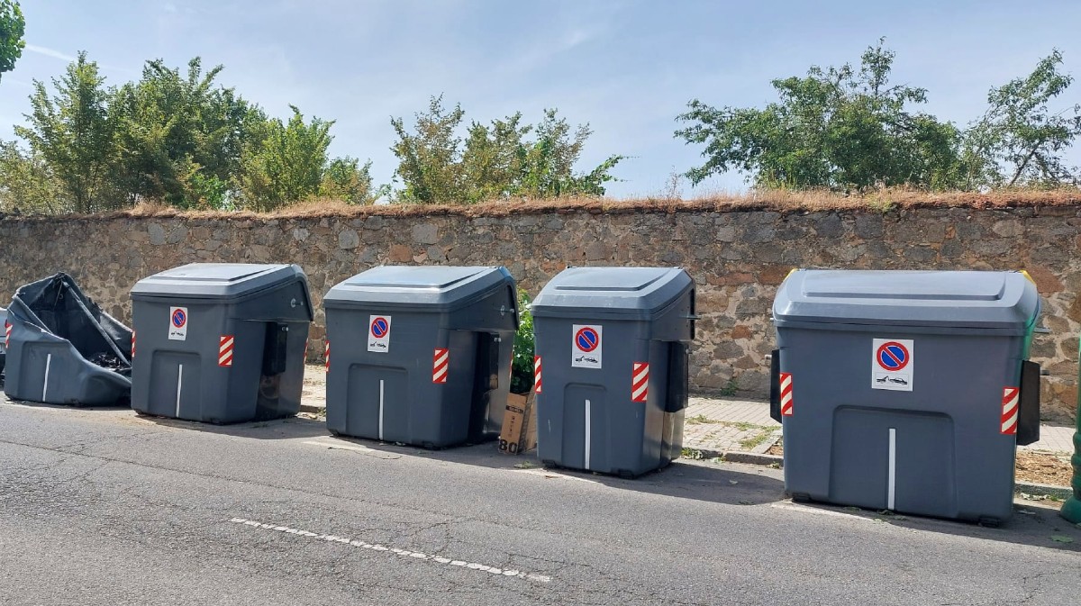 FOTOS | Vandalismo nocturno: contenedores y árboles, blanco de los ataques