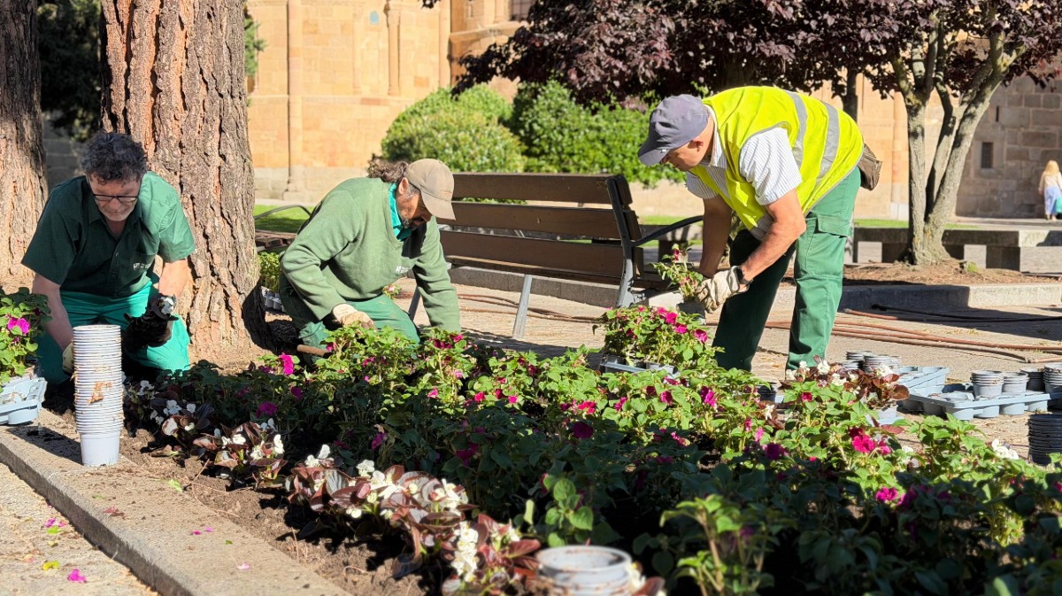 Plantacion de flores en la plaza del Ej&eacute;rcito.