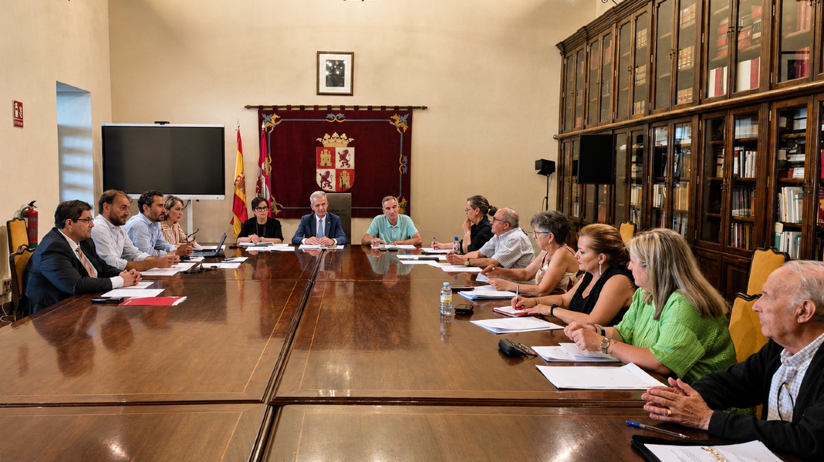 Reuni&oacute;n del Consejo de Salud del &Aacute;rea de &Aacute;vila.