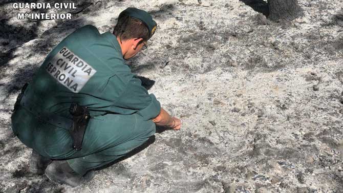 Investigación de la Guardia Civil en el incendio de Gavilanes.