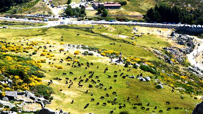 Primer premio del concurso de fotografía de la trashumancia, de Francisco Marín.