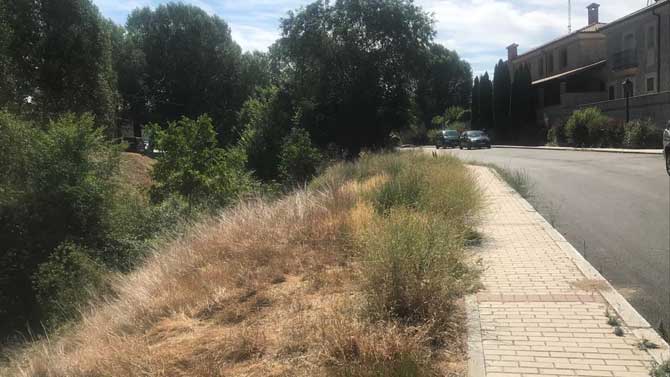 Maleza en la capital abulense.