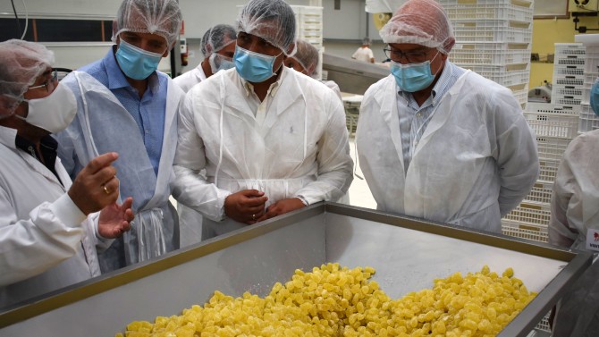 Visita a la empresa Golydul, en Las Berlanas.
