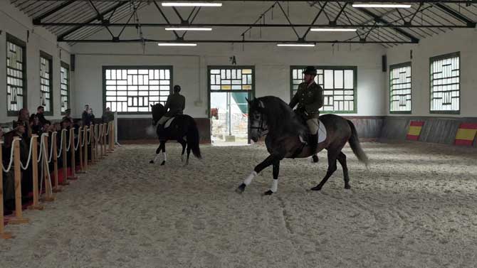 Centro de Reproducci&oacute;n Equina, en &Aacute;vila.