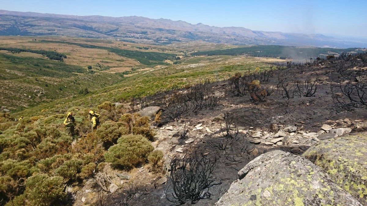 Incendio de San Esteban del Valle. Foto: @AT_Brif.