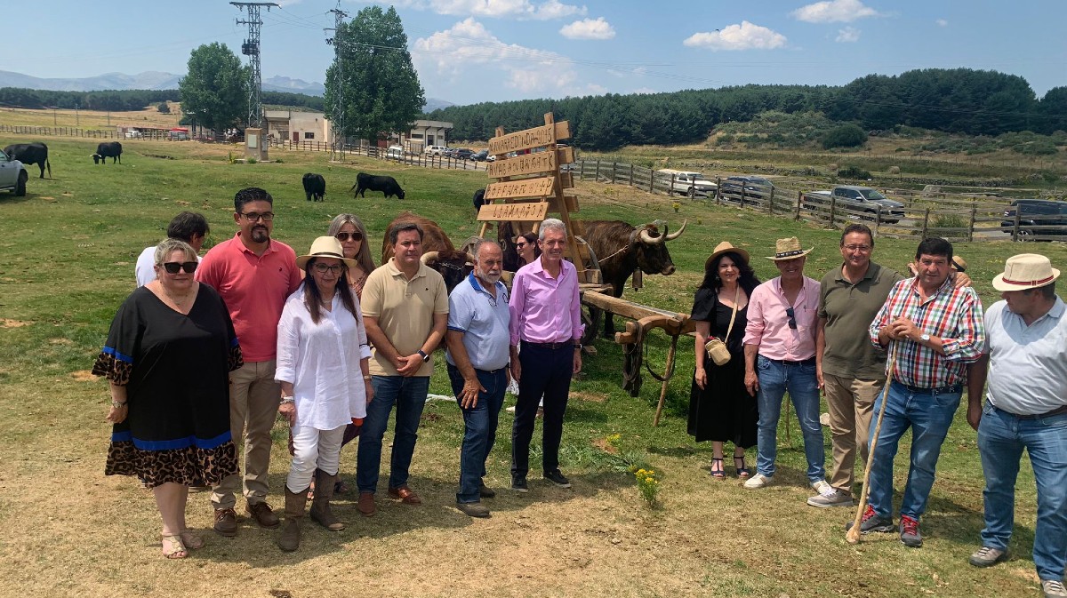 Feria de ganado avileño en Navarredonda de Gredos.