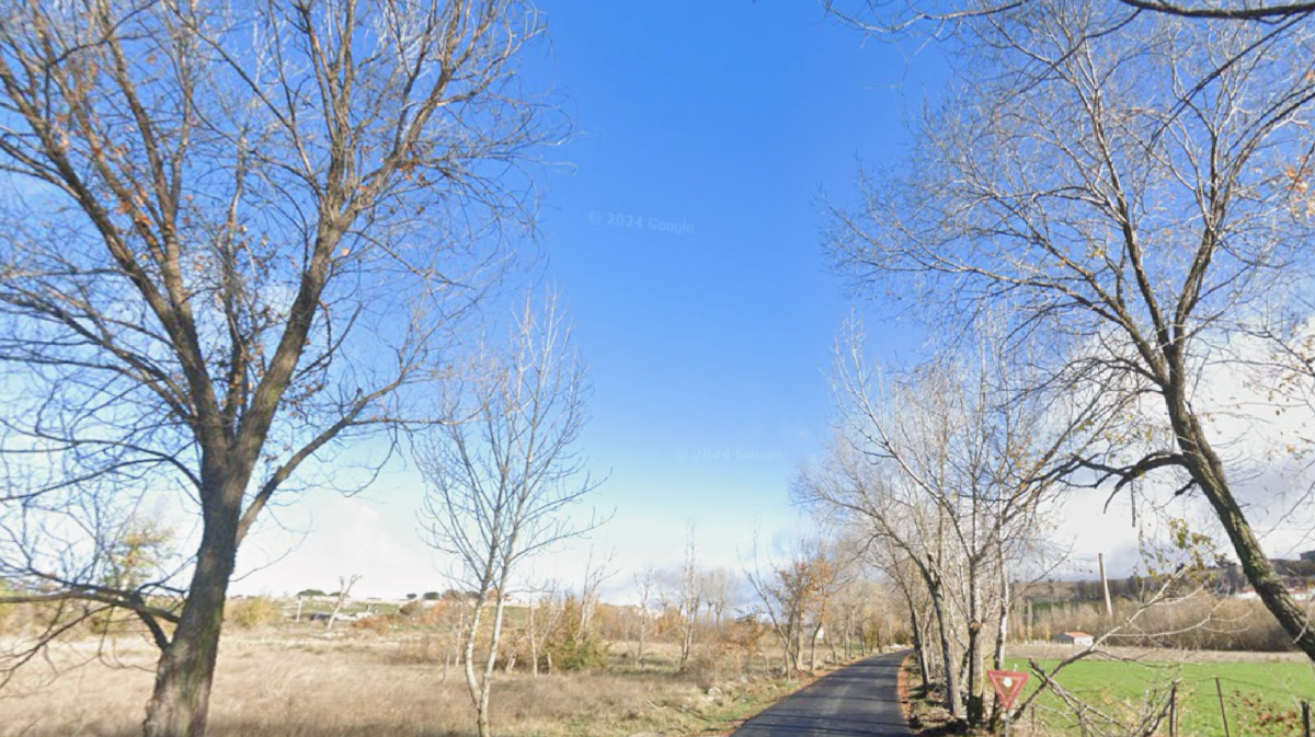 Camino del vivero, Ávila
