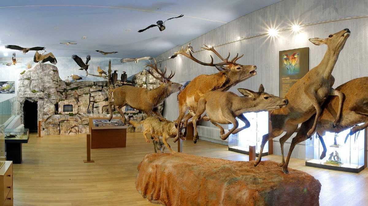 Museo de la Naturaleza Valle del Alberche