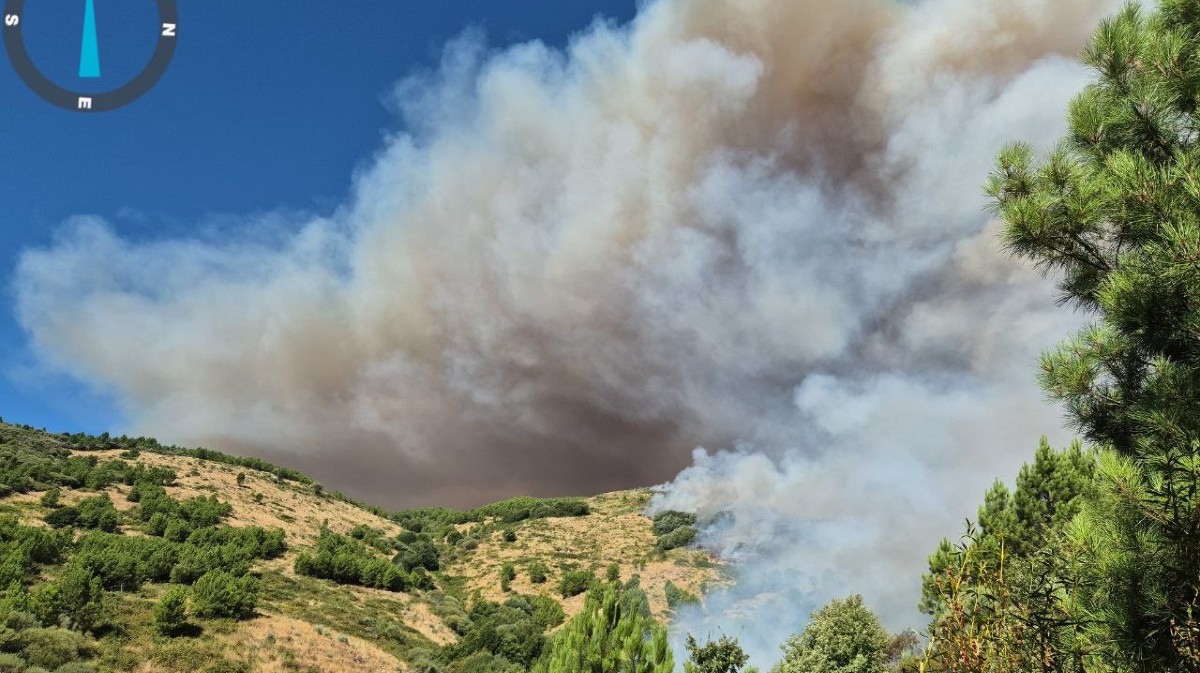 Incendio de Cuevas del Valle a las 11 horas.