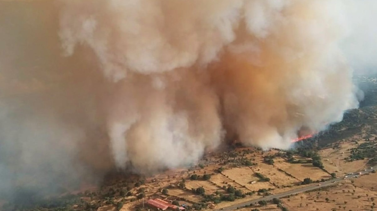 Incendio de Navaluenga, el viernes.