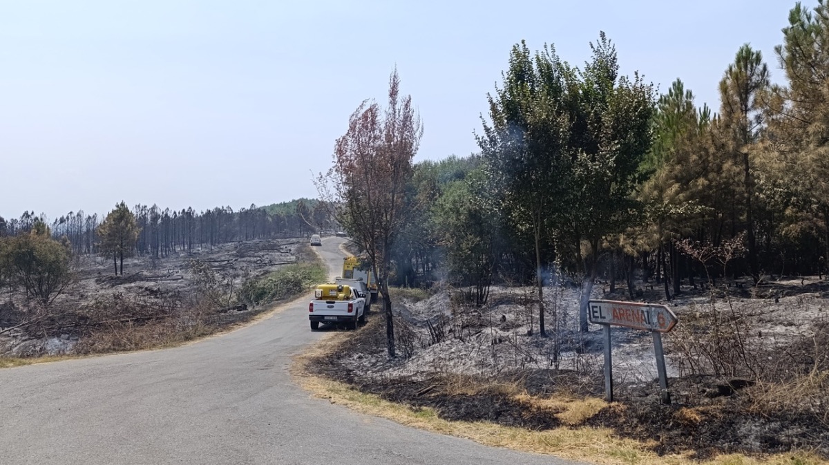 Efectos del incendio del Valle del Tiétar, el jueves.