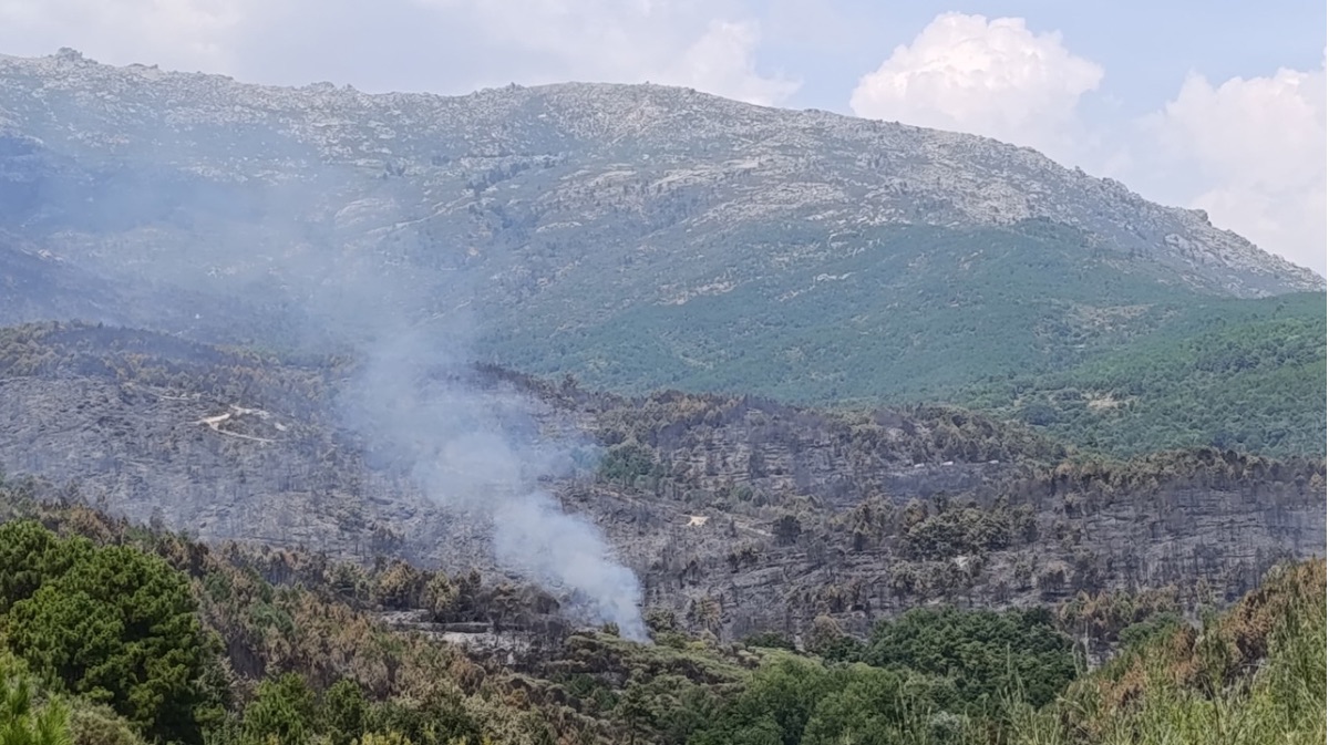 Efectos del incendio del Valle del Tiétar, el jueves.