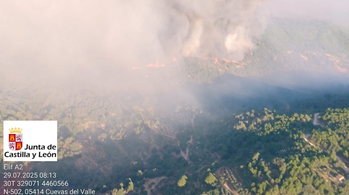 Incendio del Barranco de las Cinco Villas