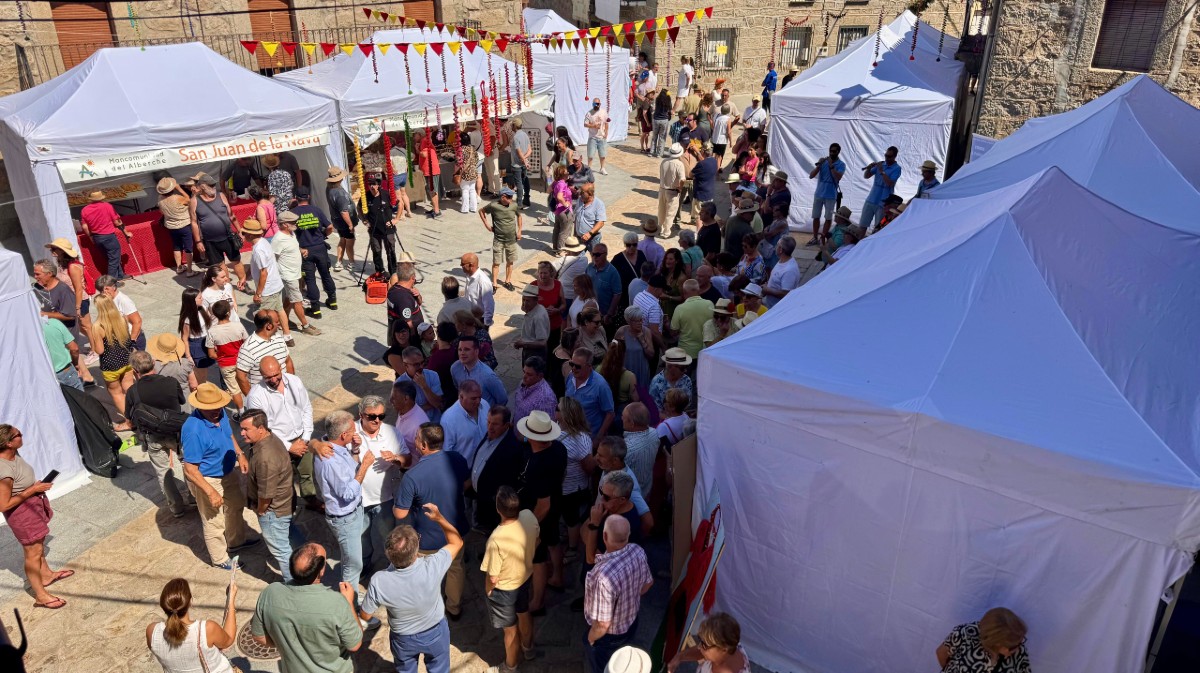 Fiesta de la Mancomunidad del Alberche en Navarredondilla.
