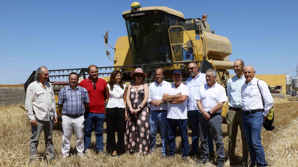 El consejero de Agricultura y los representantes de las opas tras presentar los datos de la cosecha de cereal.