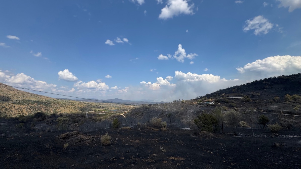 Zona de El Tiemblo arrasada por el fuego.