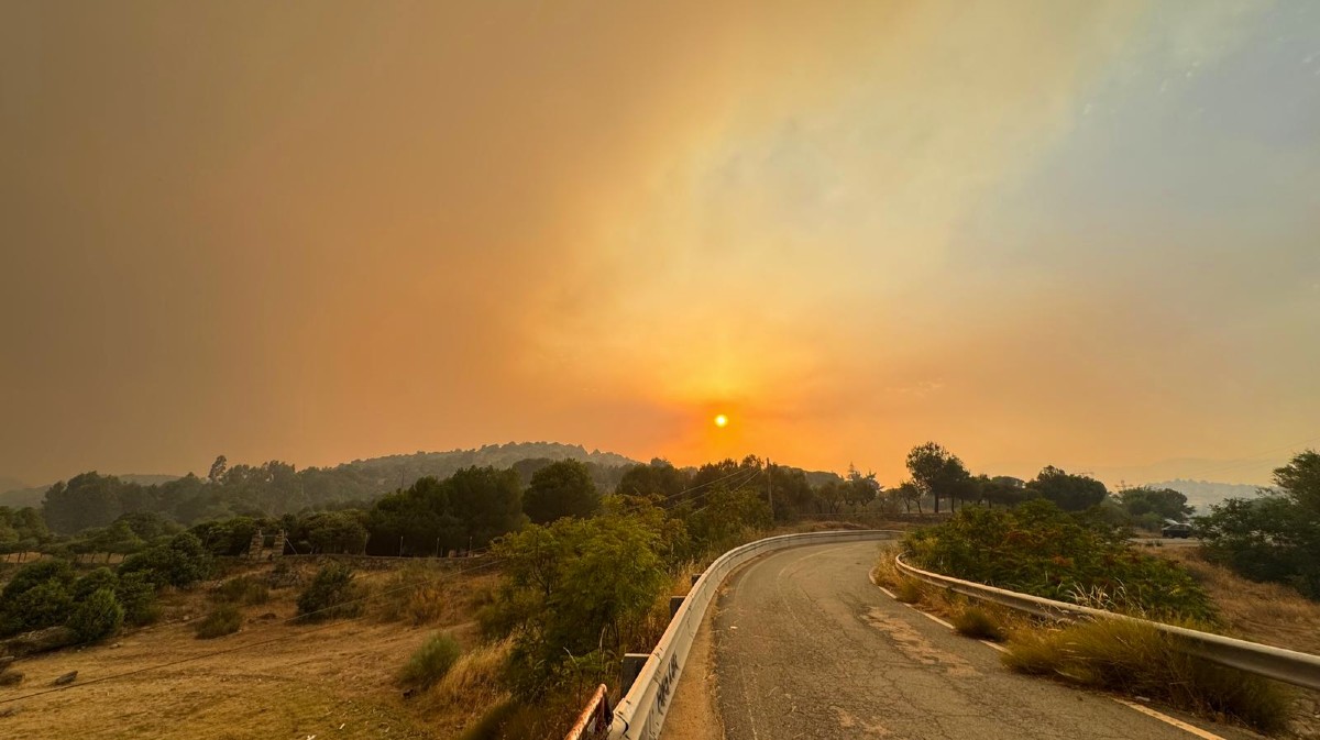 Incendio de Burgohondo.
