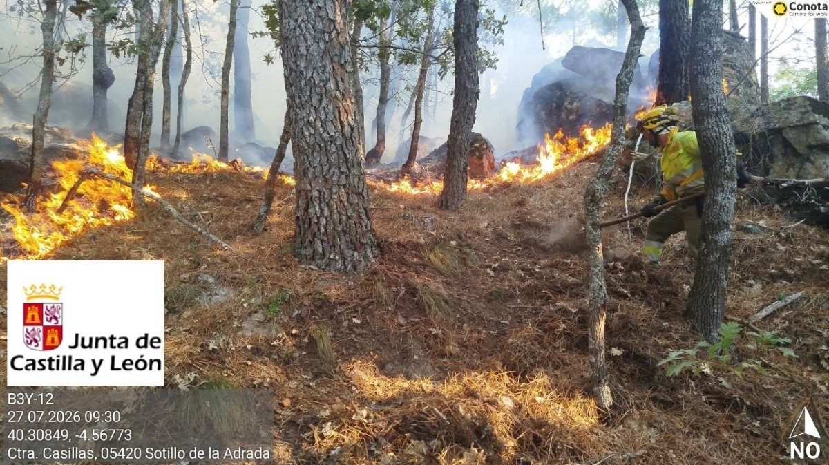 Activada la cuarta alerta por riesgo extremo de incendios forestales