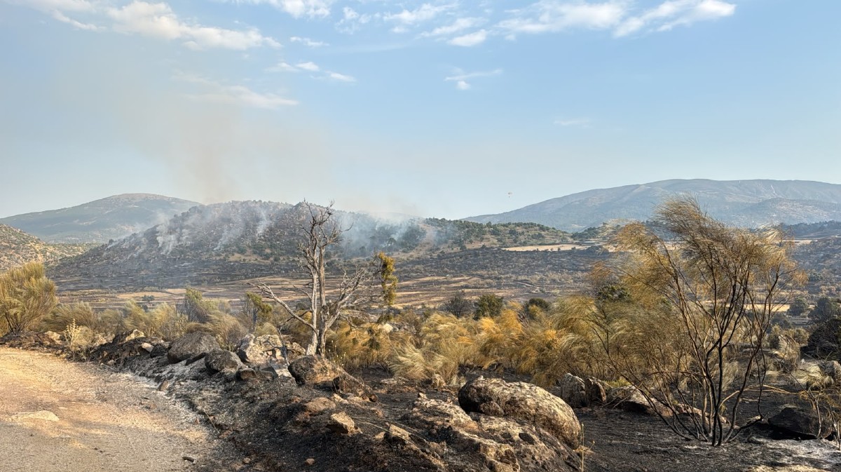 Incendio de El Barraco.