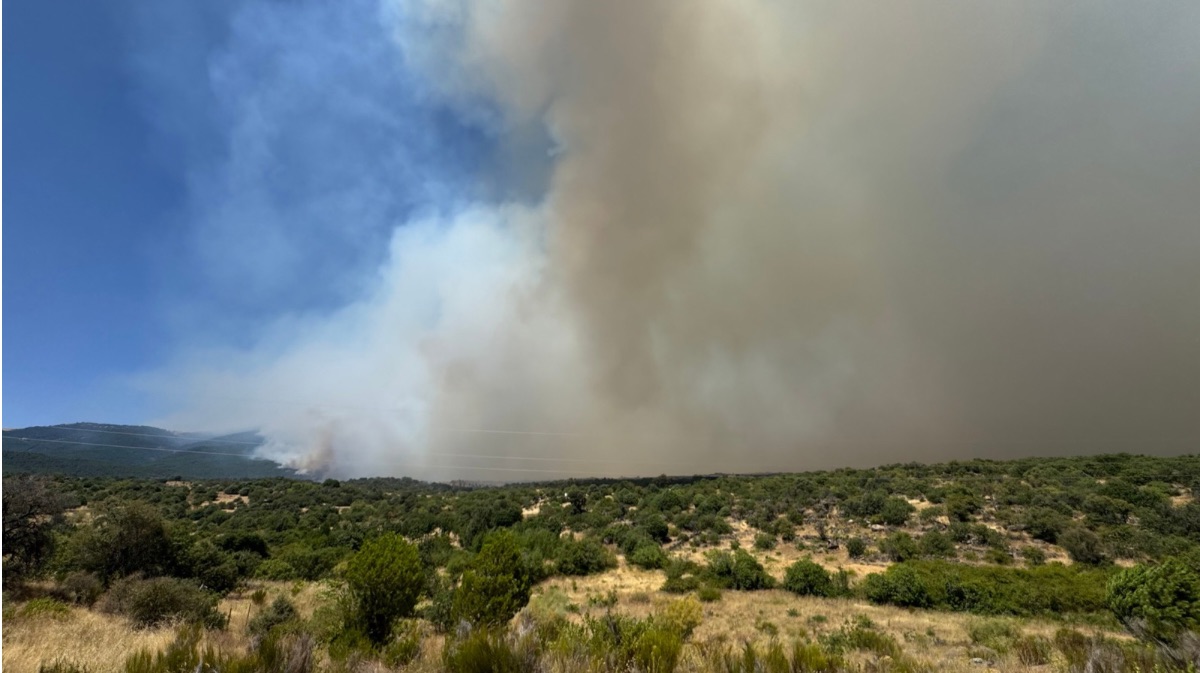 Incendio desde la urbanizaci&oacute;n Valdesanmart&iacute;n (El Tiemblo)