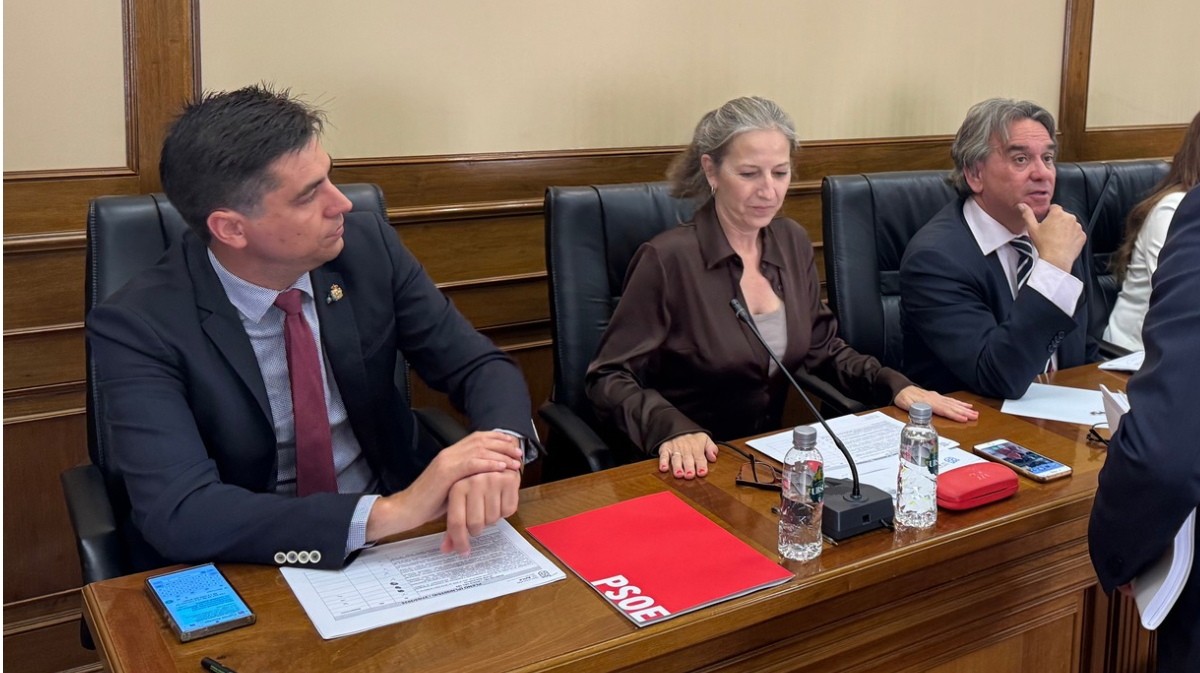 Carlos >Montesino junto a Mar&iacute;a Carmen Iglesias en un pleno de la Diputaci&oacute;n.