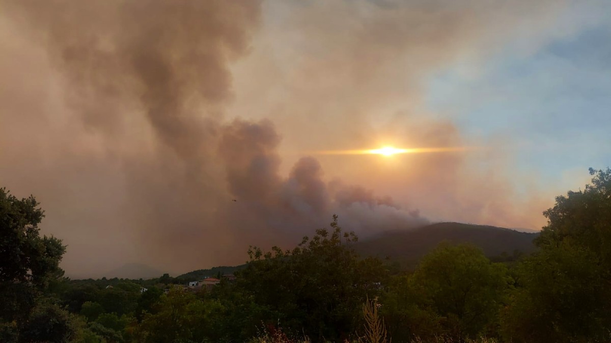 50.000 hectáreas quemadas en el fuego de Ávila, el mayor de la historia de España