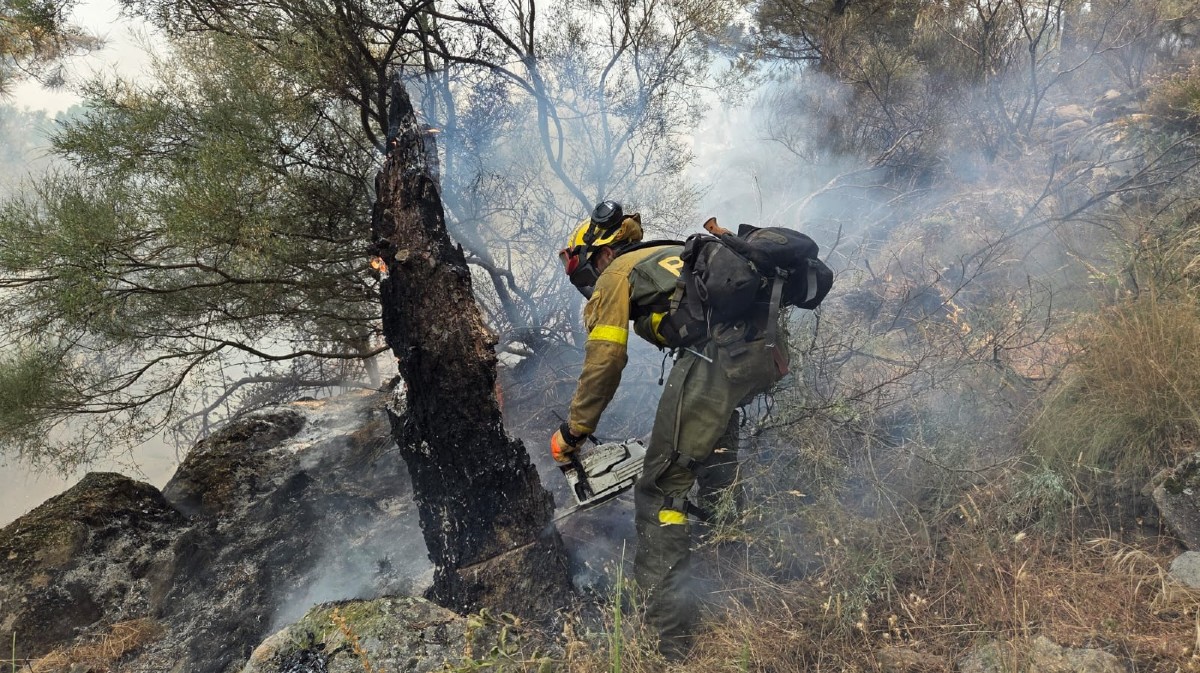 Incendio en Cuevas del Valle en 2025.