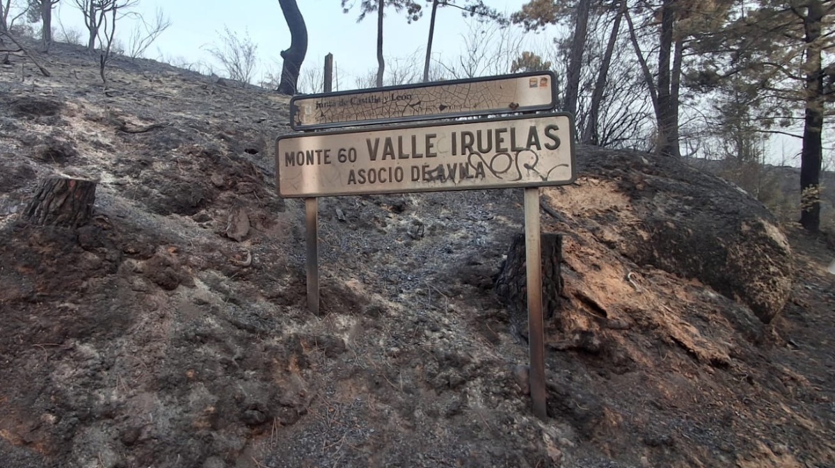 El Valle de Iruelas tras el paso del fuego