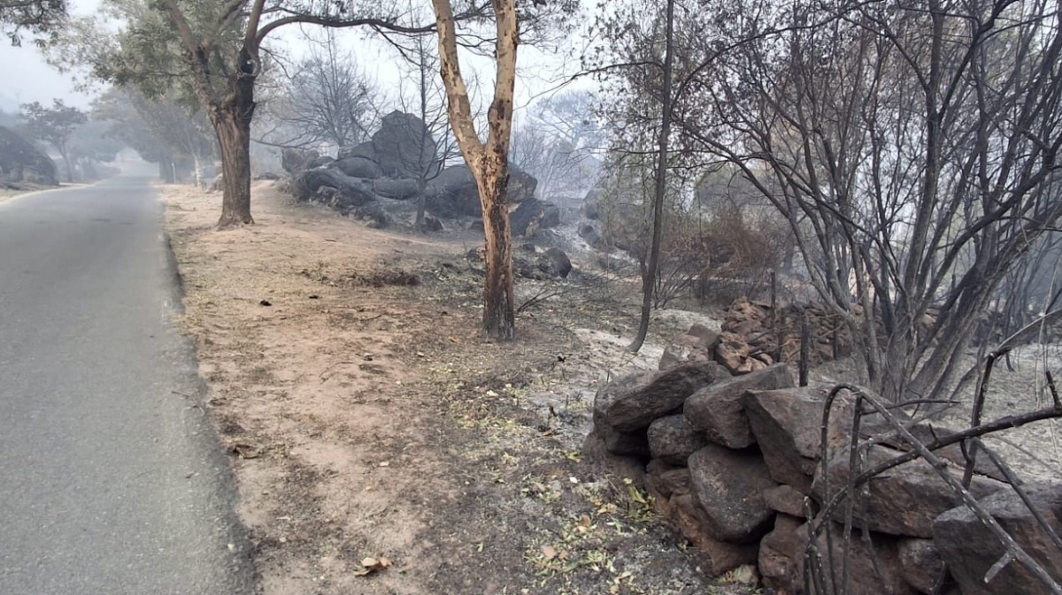 El Valle de Iruelas tras el paso del fuego