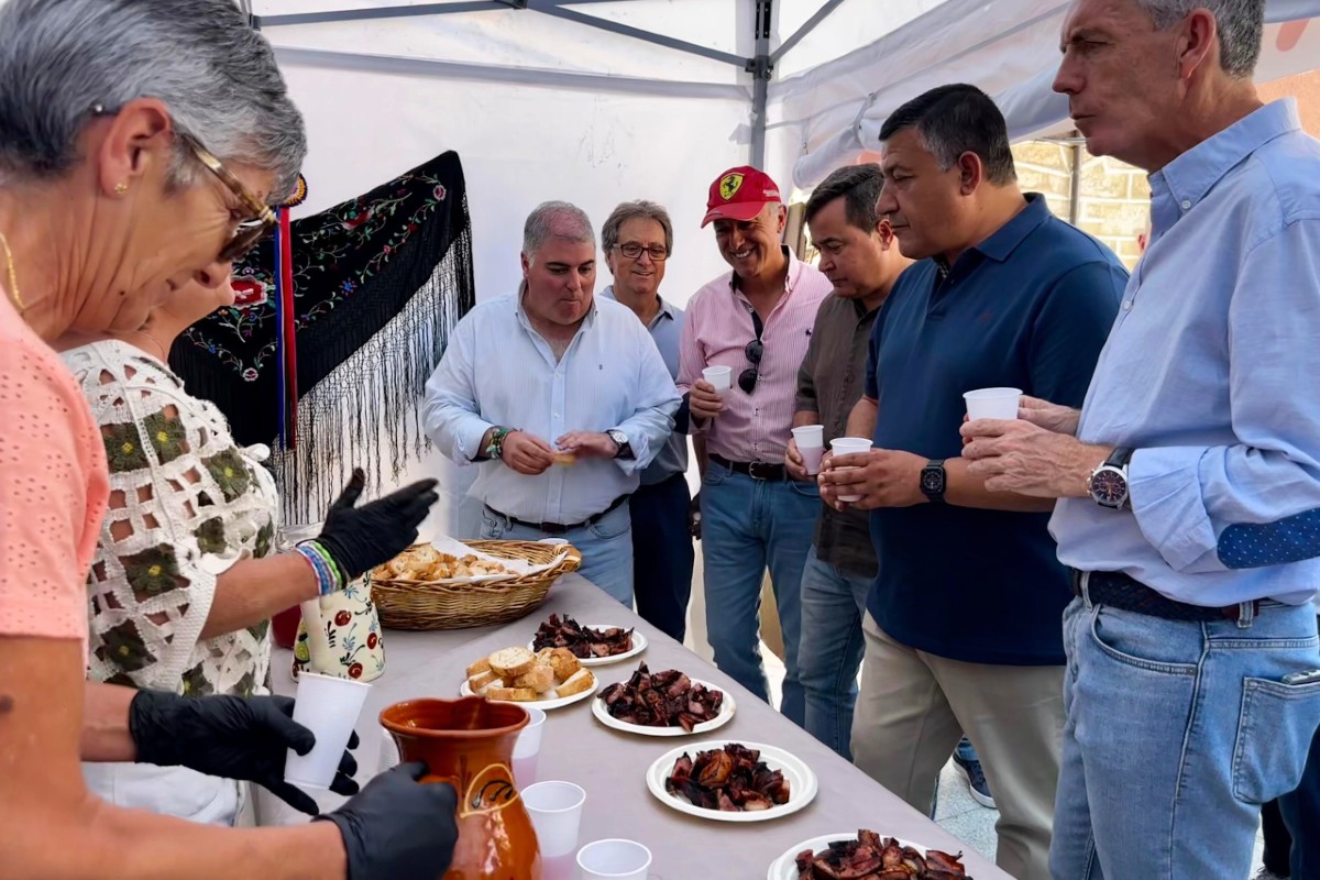 Fiesta de la Mancomunidad del Alberche en Navarredondilla.