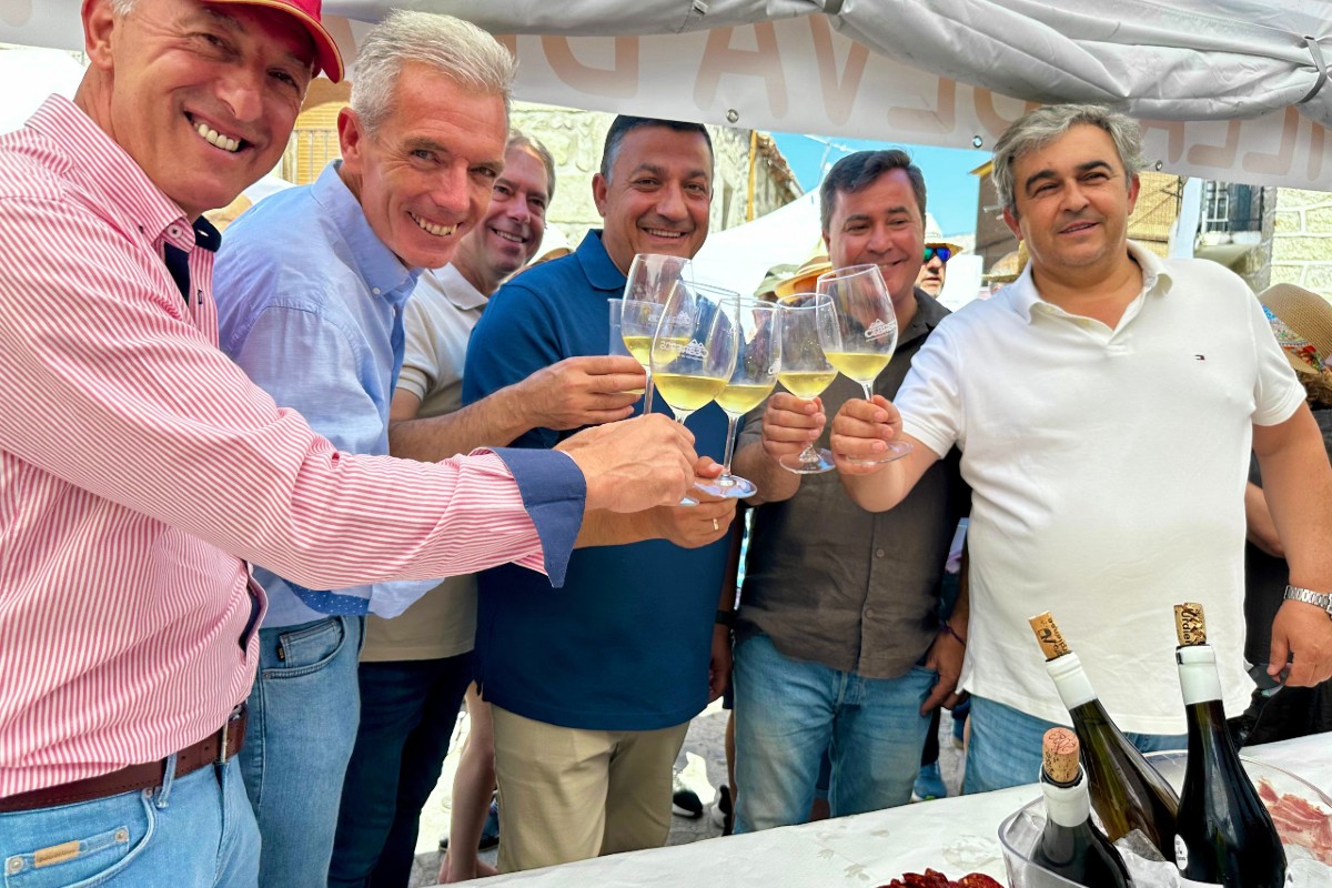 Fiesta de la Mancomunidad del Alberche en Navarredondilla.