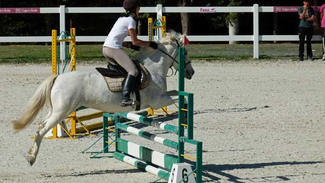 Imagen de archivo de una prueba hípica.