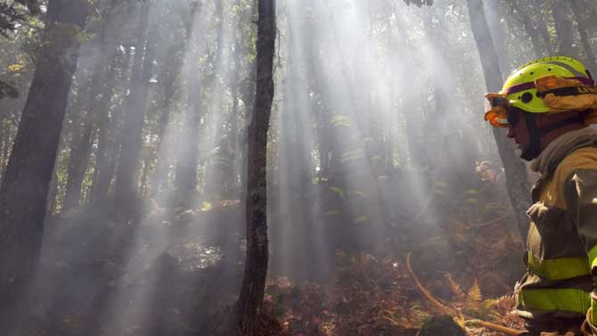Incendio en Candeleda el lunes. Foto:  @AT_Brif.